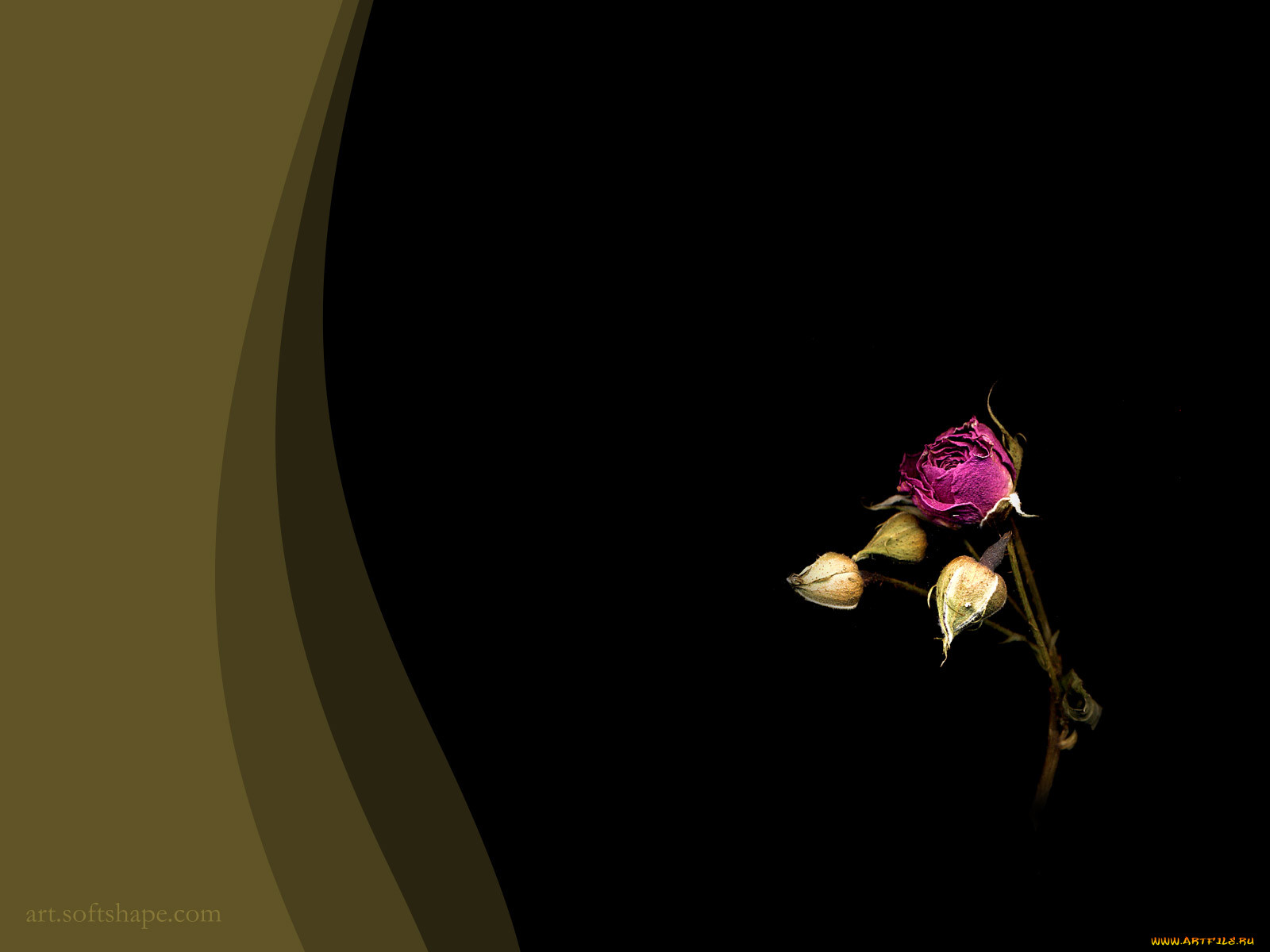 , desktop, decor